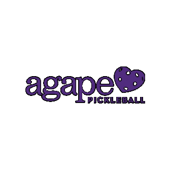 Agapeacademy giphygifmaker agapeacademy agapepball agapepickleball Sticker