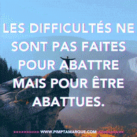 Business Canada GIF by PIMP TA MARQUE