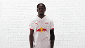 Rb Leipzig Football GIF by Bundesliga
