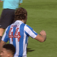 Reading Wallace GIF by Sheffield Wednesday Football Club