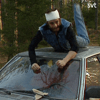 Happy Hell Yeah GIF by SVT