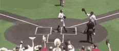 Texas Tech Baseball GIF by NCAA Championships