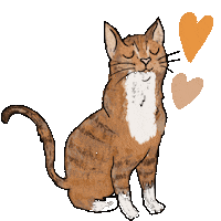 Cat Love Sticker