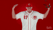 De Leon Baseball GIF by Cincinnati Reds