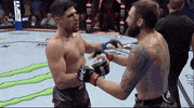 Sport Mma GIF by UFC