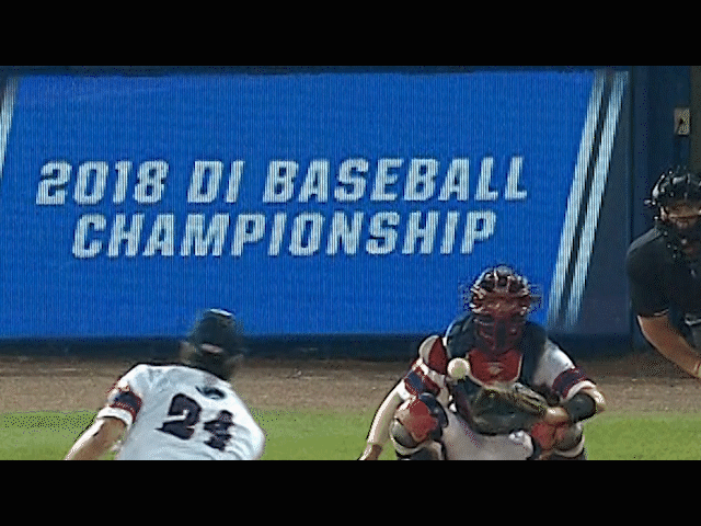florida atlantic baseball GIF by FAU Athletics