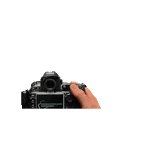 Photography Camera Sticker by Maikel van Willegen
