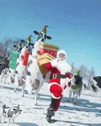 Merry Christmas GIF by Respective