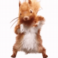 Dog Dancing GIF