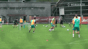 Football Soccer GIF by SV Werder Bremen