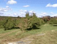 Mr T Conan Obrien GIF by Team Coco