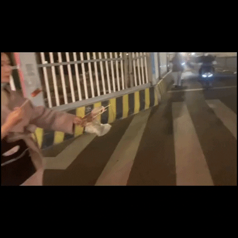 cuteanimalland giphyupload GIF