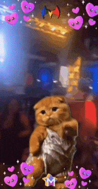 Radio Feliz GIF by Murcianys LLC