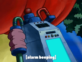 season 6 gullible pants GIF by SpongeBob SquarePants