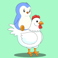 Jump Penguin GIF by Pudgy Penguins