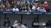 new york yankees GIF by MLB