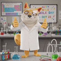 Happy Periodic Table GIF by Doge Pound