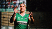 Rugby League Try Celebration GIF by Canberra Raiders