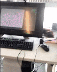 Lab Onf GIF by Alex Boya