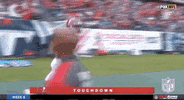 Regular Season Football GIF by NFL