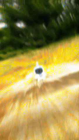 Robot Xbox GIF by Youtooz