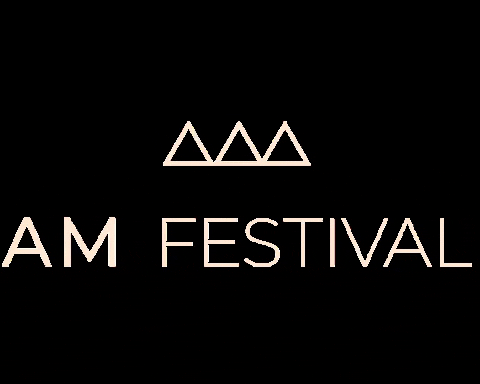 AMFestival giphygifmaker amfest amfestival cirquenoir GIF