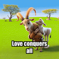 GIF by Radiantelope