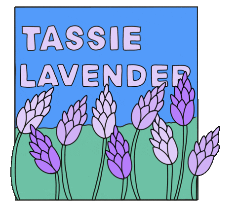 Lavender Aleishaearp Sticker by Tasmania