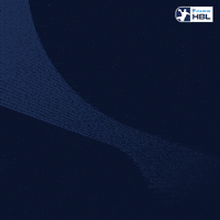 Handball GIF by DAIKIN HBL