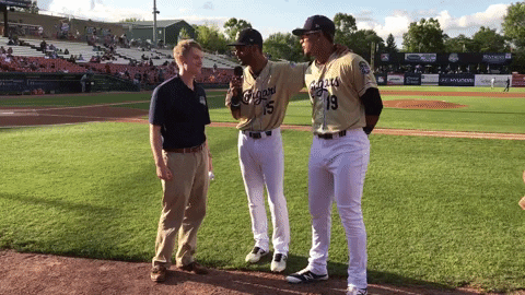 kccougars giphygifmaker giphygifmakermobile annie kccougars GIF