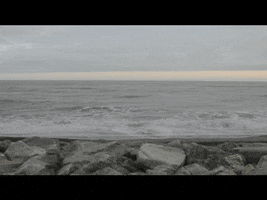 brooklyn documentary GIF