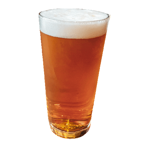 SportsGardenHotel giphyupload beer beers sgh Sticker
