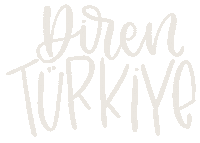 Laluz Diren Sticker