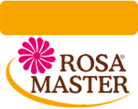 rosamaster rosamaster rosa master plano rosa master Sticker