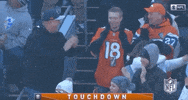 Regular Season Football GIF by NFL