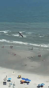 Osprey Carries Away Large Fish as Myrtle Beach Tourists Watch On