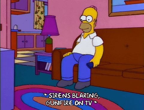 homer simpson GIF