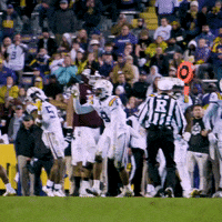 Death Valley Football GIF by LSU Tigers