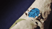 the itching GIF by Vimeo