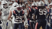 Football Nfl GIF by New England Patriots