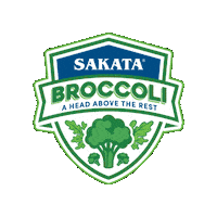 Veggies Broccoli Sticker by Sakata Seed America Inc.