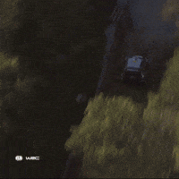 Motorsport Rallying GIF by FIA World Rally Championship