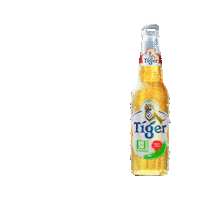 Tigerbeer Sticker by Bir Bintang