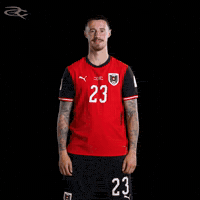 Fifa World Cup Austria GIF by Respective