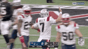 New England Patriots Football GIF by NFL