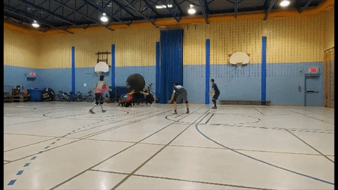 marc-edouardlarose giphyupload sport kin-ball kinball GIF