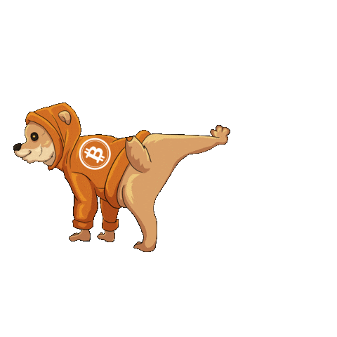 TheDogOfBitcoin giphyupload dog memecoin runestone Sticker