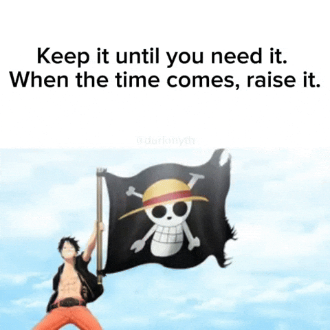 One Piece Flag GIF