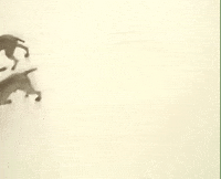 Fail William Wegman GIF by Jason Clarke