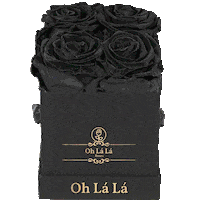 Flowers Love Sticker by Oh La La Roses